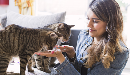 Content_423x246_PetFood_1