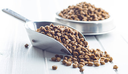 Content_423x246_PetFood_2