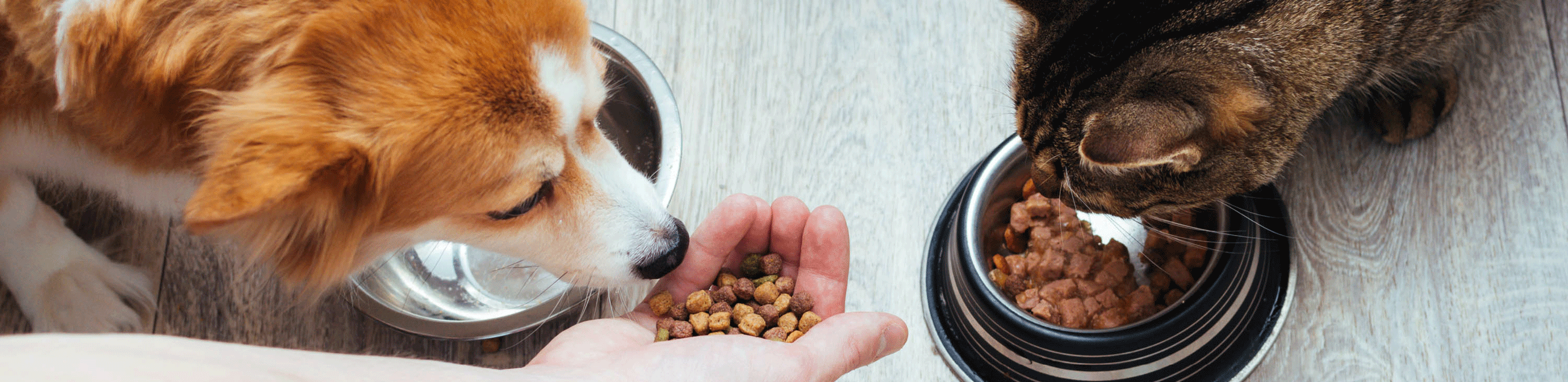 header_saria_petfood